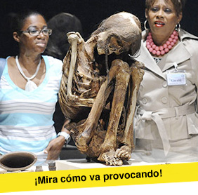 r154_celia_lio