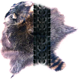 r157_tendencias_mapache