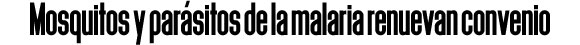 columna_cabecera_gr