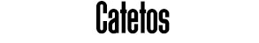 titulo_libre_directaEK229